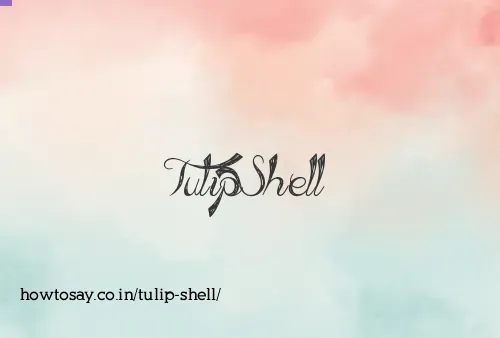 Tulip Shell