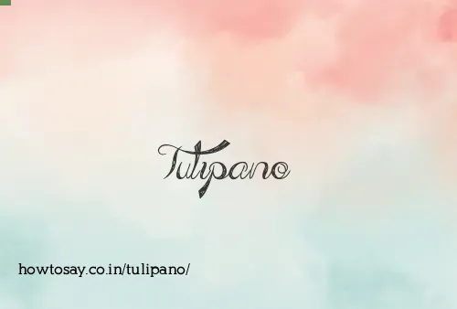 Tulipano