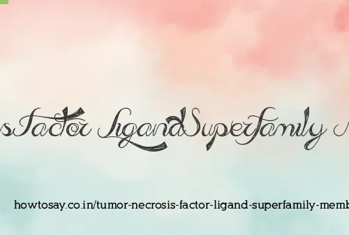 Tumor Necrosis Factor Ligand Superfamily Member 15