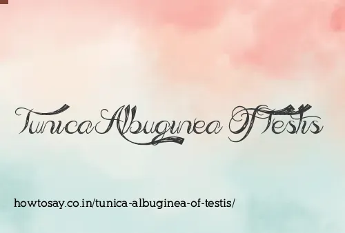 Tunica Albuginea Of Testis