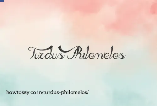 Turdus Philomelos