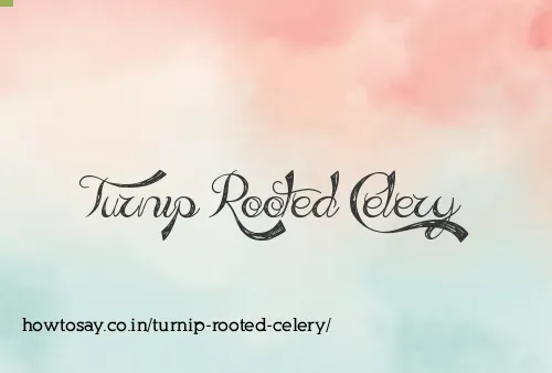 Turnip Rooted Celery