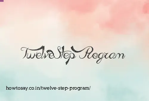 Twelve Step Program