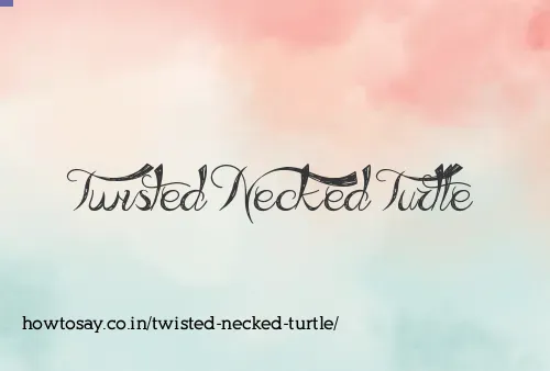 Twisted Necked Turtle