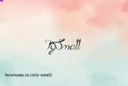 Ty Small