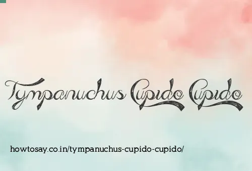 Tympanuchus Cupido Cupido