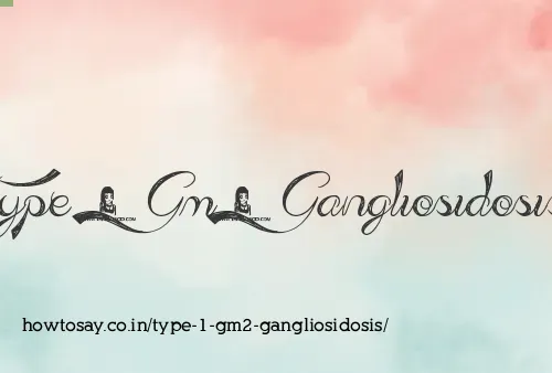 Type 1 Gm2 Gangliosidosis