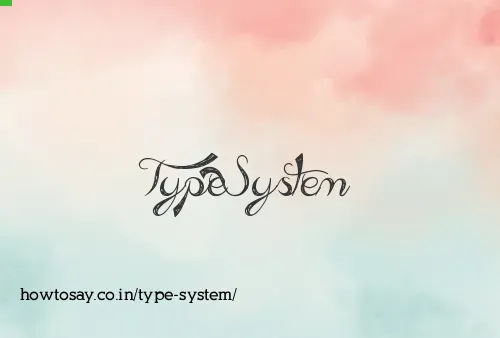 Type System