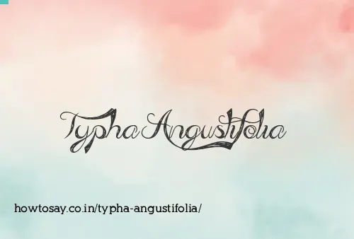 Typha Angustifolia