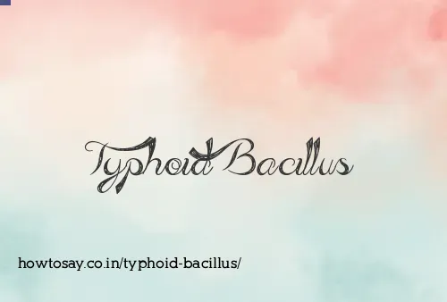 Typhoid Bacillus