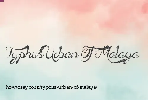 Typhus Urban Of Malaya