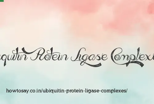 Ubiquitin Protein Ligase Complexes