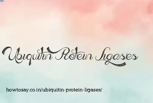 Ubiquitin Protein Ligases