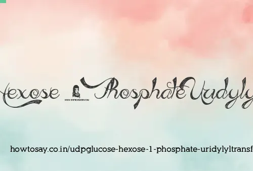 Udpglucose Hexose 1 Phosphate Uridylyltransferase