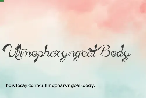 Ultimopharyngeal Body