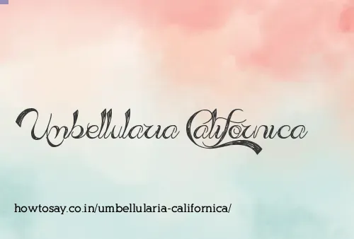 Umbellularia Californica