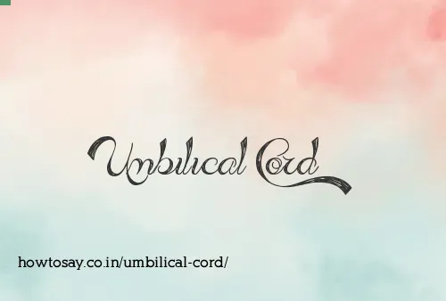 Umbilical Cord
