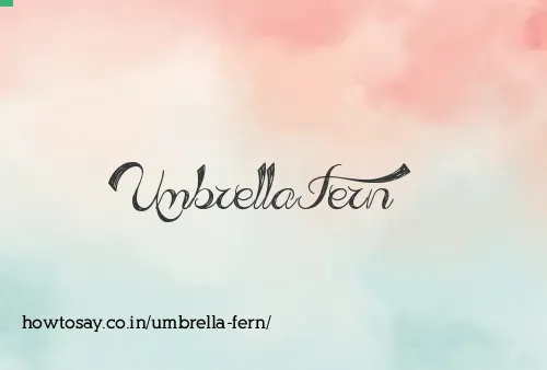 Umbrella Fern