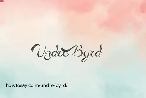 Undre Byrd