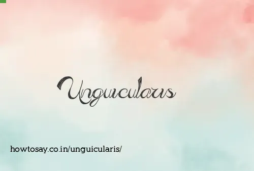 Unguicularis