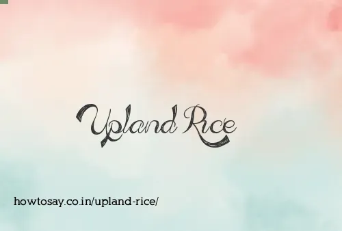 Upland Rice