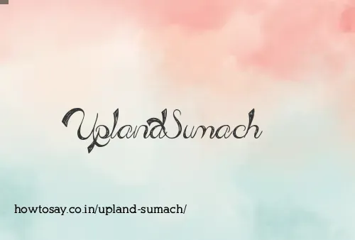 Upland Sumach