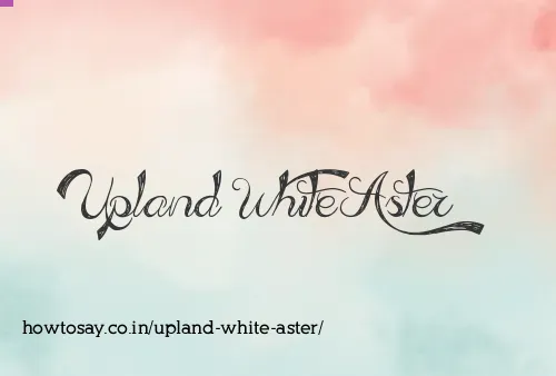 Upland White Aster