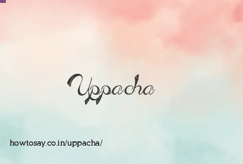Uppacha