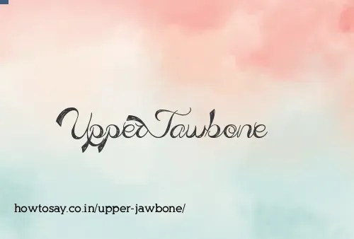 Upper Jawbone