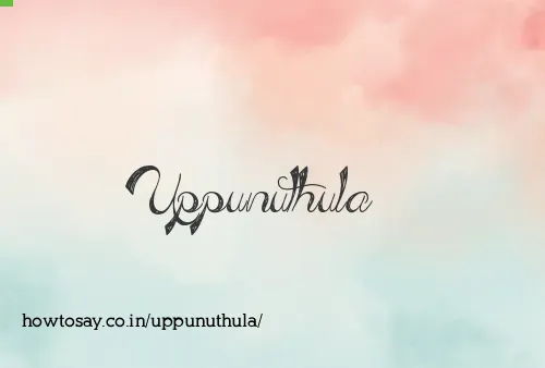 Uppunuthula