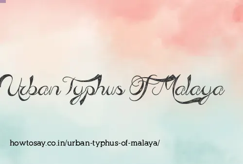 Urban Typhus Of Malaya