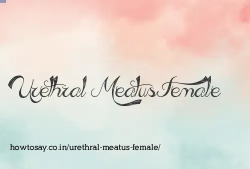 Urethral Meatus Female