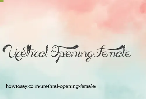 Urethral Opening Female