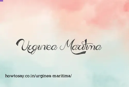 Urginea Maritima