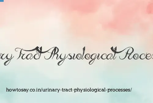 Urinary Tract Physiological Processes
