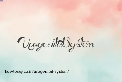 Urogenital System