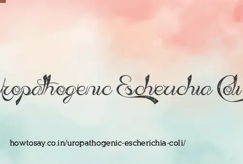 Uropathogenic Escherichia Coli
