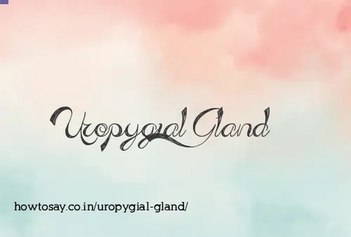 Uropygial Gland