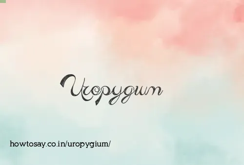 Uropygium
