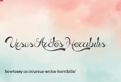 Ursus Arctos Horribilis
