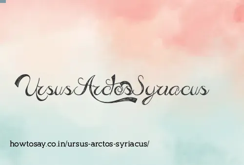 Ursus Arctos Syriacus