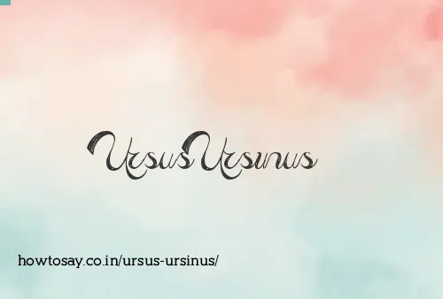 Ursus Ursinus