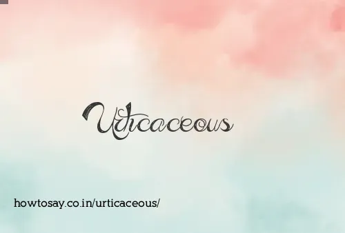 Urticaceous