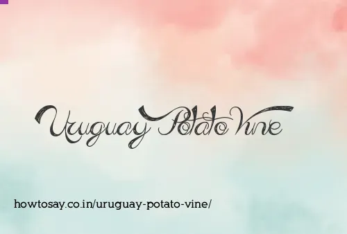 Uruguay Potato Vine