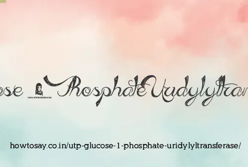 Utp Glucose 1 Phosphate Uridylyltransferase