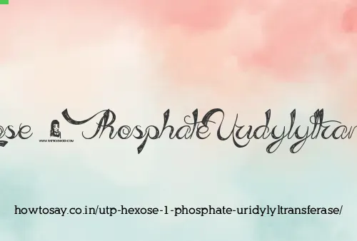 Utp Hexose 1 Phosphate Uridylyltransferase
