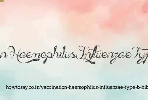 Vaccination Haemophilus Influenzae Type B Hib