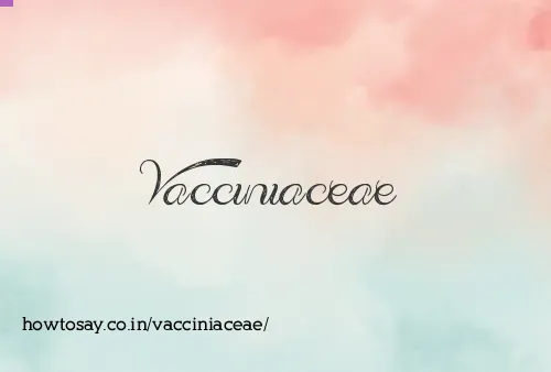 Vacciniaceae