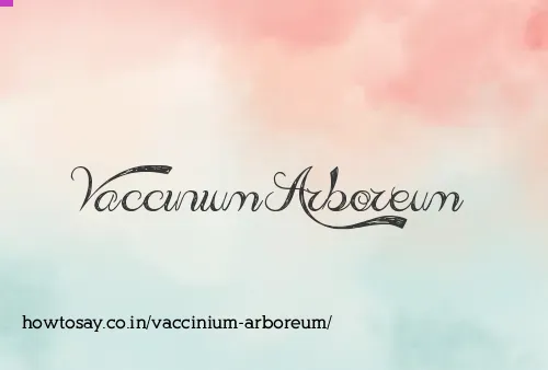 Vaccinium Arboreum