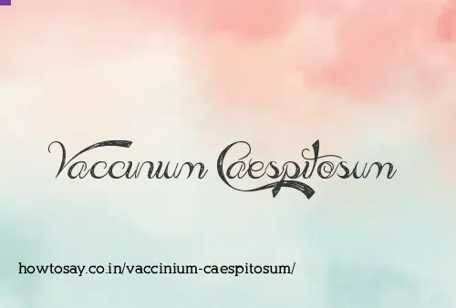 Vaccinium Caespitosum